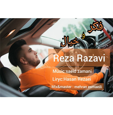 رضا رضوی فکر و خیال